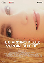 Immagine inserita