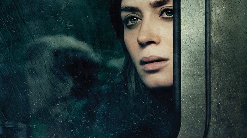 La ragazza del treno